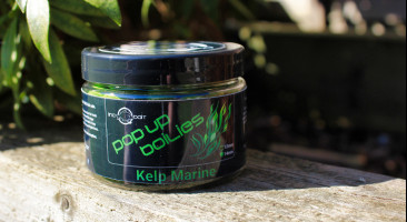 Kelp Marine