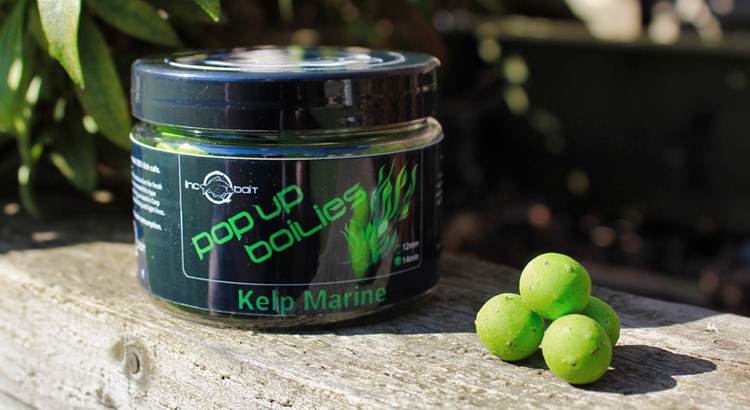Kelp Marine