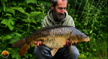 Live-X Boilies