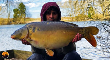 Live-X Boilies