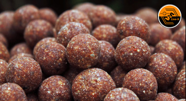 Live-X Boilies