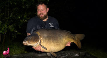 Squid InQ Boilies