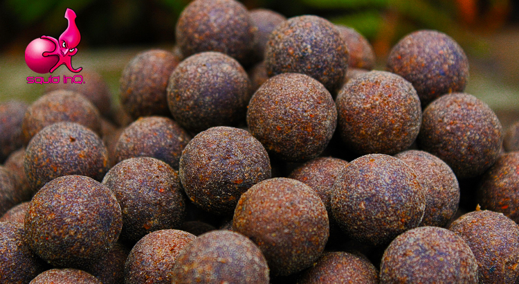 Squid InQ Boilies