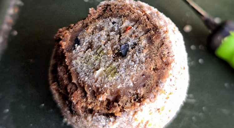 The Edge - Coated hookbaits