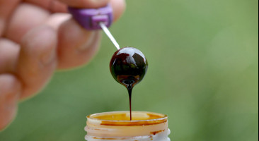 Molasses Liquid