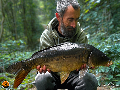 Fish Captures