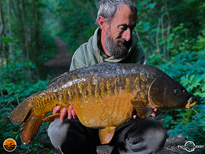 Fish Captures