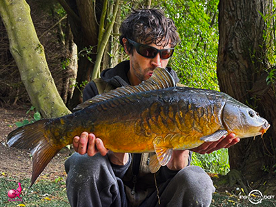 Fish Captures