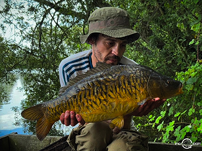 Fish Captures
