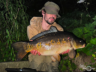 Fish Captures
