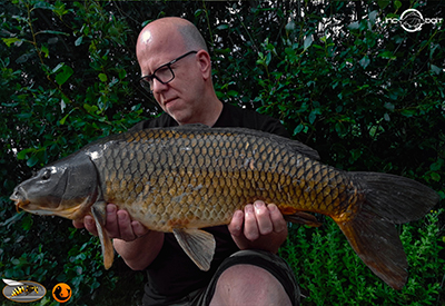 Fish Captures