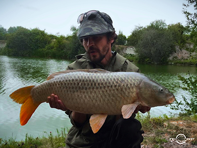 Fish Captures