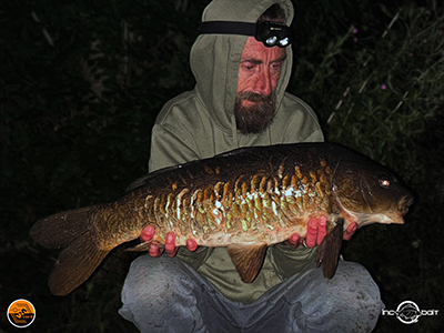 Fish Captures