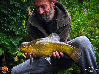 Fish Captures