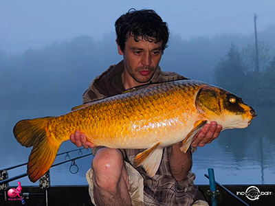 Fish Captures