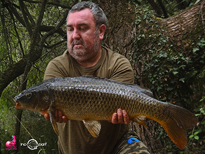 Fish Captures