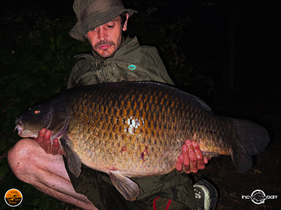 Fish Captures