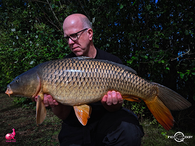 Fish Captures