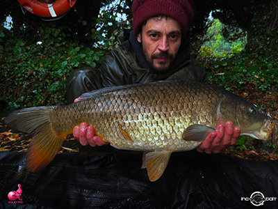 Fish Captures
