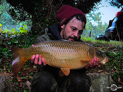 Fish Captures