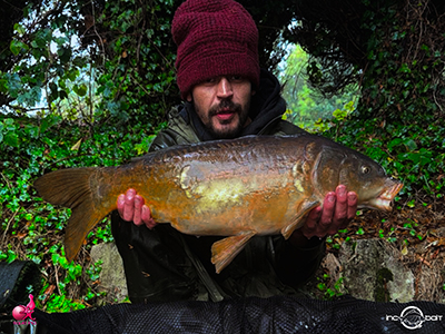 Fish Captures