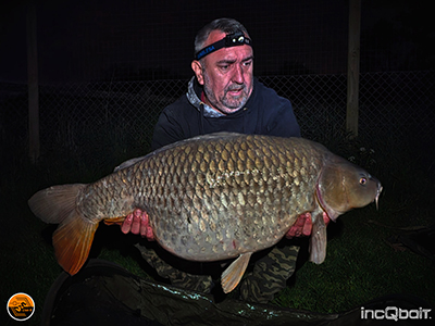 Fish Captures