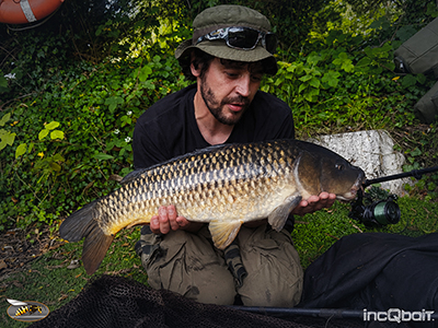 Fish Captures