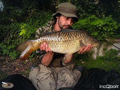 Fish Captures
