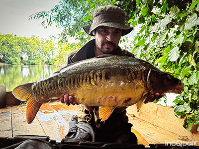 Fish Captures